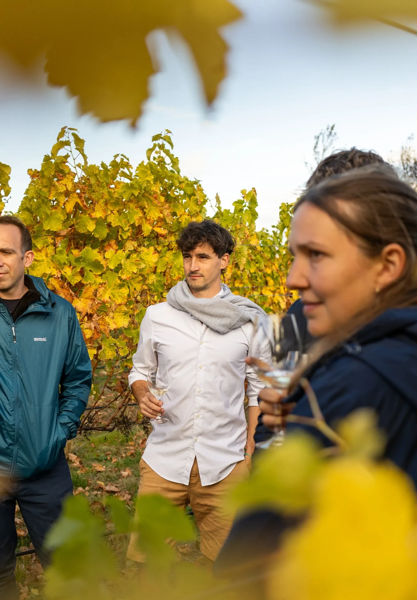 Deluxe Wine Tour of Marlborough