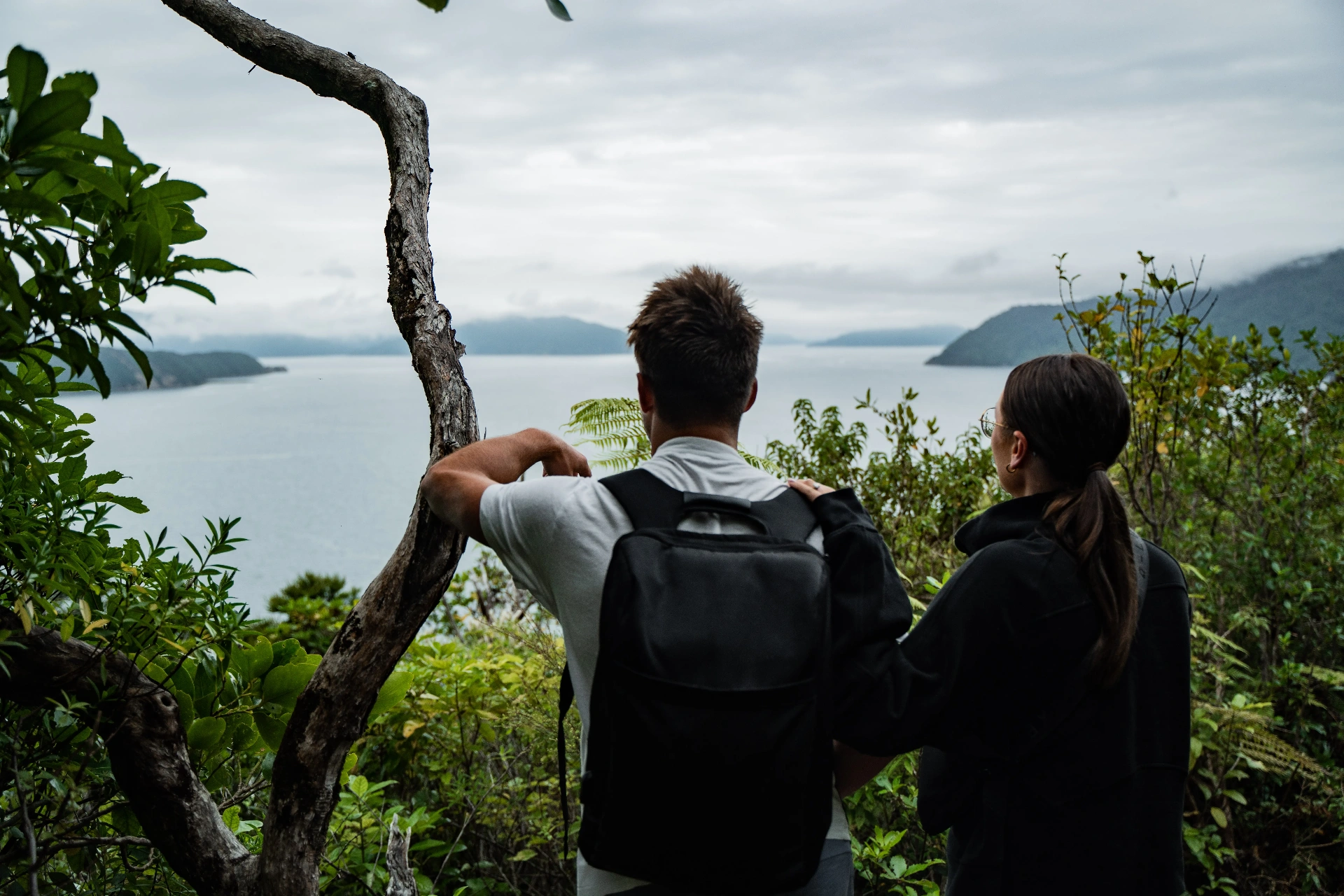 Marlborough Coast & Vine Experience